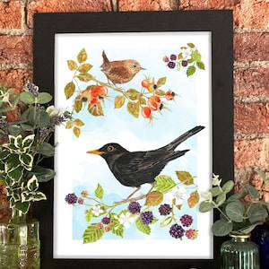 Watercolour Birds | Blackbird and Wren in Autumn | Art Print | A5/A4/ A3 | Illustration | British Garden Birds