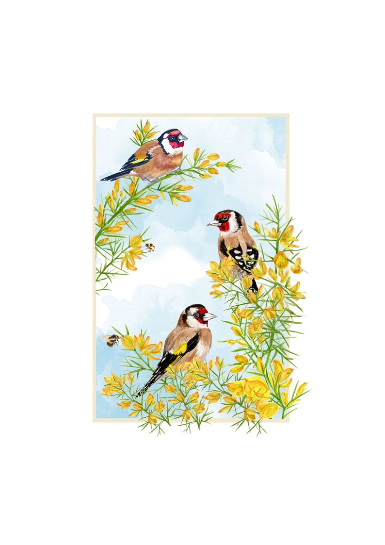 Watercolour Birds Goldfinches In Gorse Bush Art Print A5 A4 A3 Wall Art watercolour-birds-goldfinches-in-gorse-bush-art-print-a5-a4-a3-wall-art