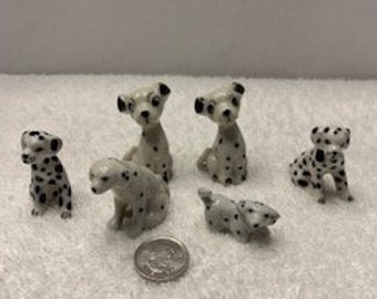 Dalmatian Dog Lot