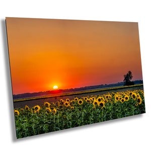 Sunflower Wall Art Sunflower Wall Decor Sunflower Canvas Sunflower Decor Sunflower Home Decor Sunflower Photo Sunflower Sunset Flower Print