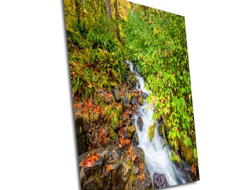 May include: A cascading waterfall flows through a lush forest with vibrant green foliage and autumn leaves in shades of orange and yellow.