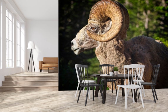 3D Bighorn Sheep Animal S4455 Removable Wallpaper Self - Etsy 3D Bighorn Sheep Animal S4455 Removable Wallpaper Self - Etsy