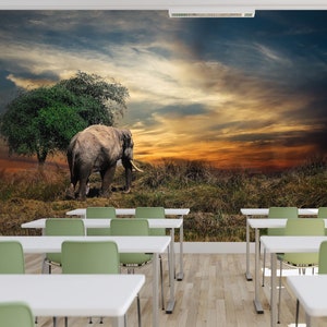 3D Tired Elephant Animal L1384 Carta da parati commerciale rimovibile Carta da parati autoadesiva Peel & Stick Wallpaper Wallpaper Mural aJSTOREArt