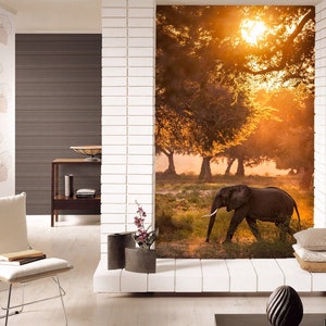 3D Leisurely Elephant Animal L161 Carta da parati rimovibile Carta da parati autoadesiva Carta da parati Extra Large Peel & Stick Wallpaper Wallpaper Mural AJSTOREArt