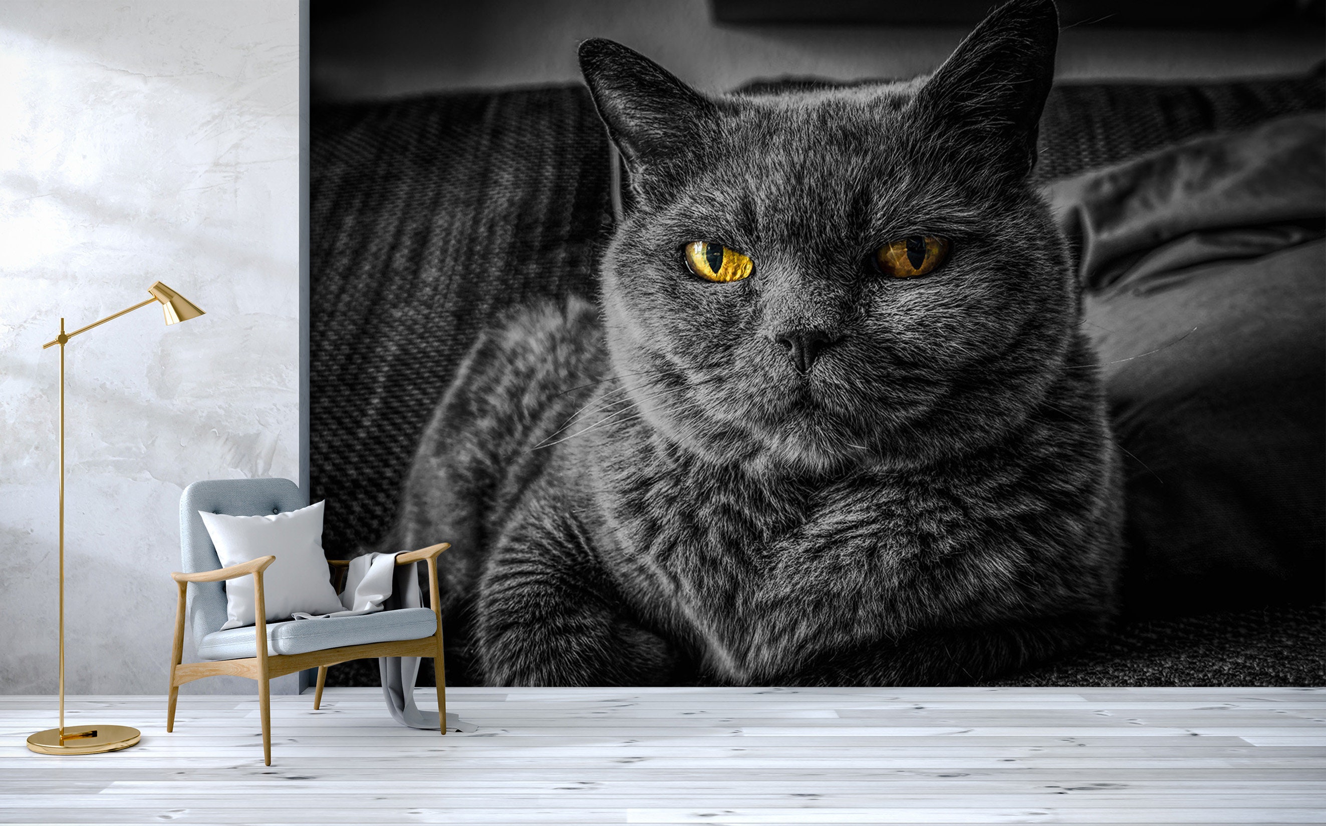 3D Elegant Black Cat L3255 Animal Removable Wallpaper Self - Etsy