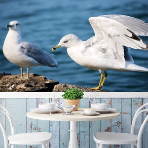 3D Animal Seagull L684 Removable Wallpaper Self Adhesive Wallpaper Extra Large Peel & Stick Wallpaper Wallpaper Mural AJSTOREArt