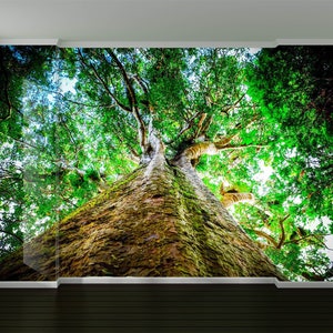 3D Ancient Huge Tree L10324 Removable Wallpaper Self Adhesive Wallpaper Extra Large Peel & Stick Wallpaper Wallpaper Mural AJSTOREArt image 1