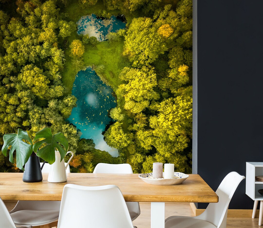 3D Fantasy Forest Irregular Lake L7774 Removable Wallpaper Self ...