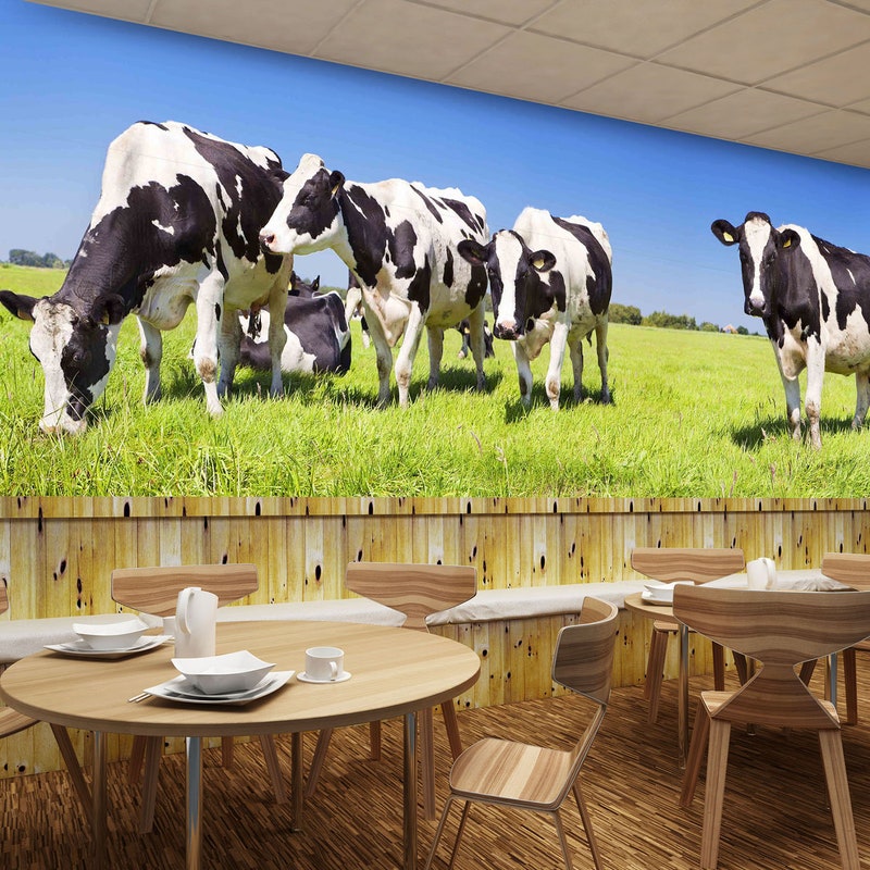 Mesmerizing Where Can I Buy A Whole Cow Capture Collection Mesmerizing Where Can I Buy A Whole Cow Capture Collection