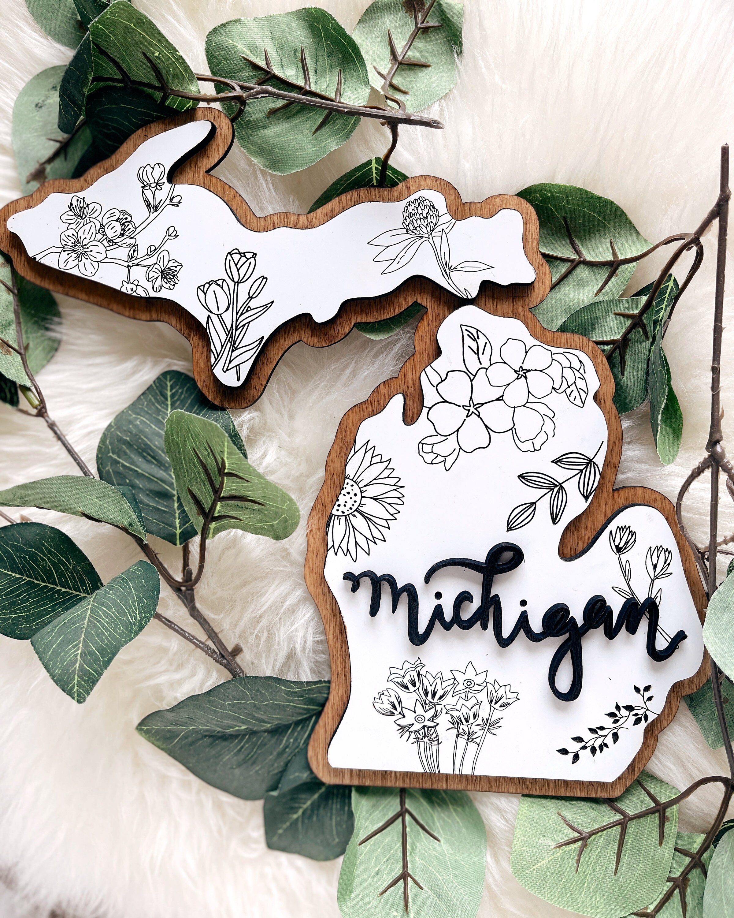 MICHIGAN Wood Wall Art Map of Michigan With Local State Etsy