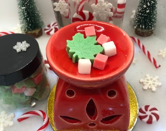 Under The Mistletoe Coconut Soy Wax Melts and Wax Warmer