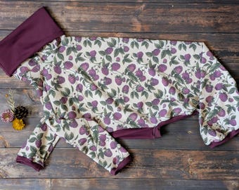 Bracken and Paws, pijamas para perros, pijamas para galgos, camiseta para galgos, pijamas para lebreles, pijamas para galgos, regalo para amantes de los perros, camiseta de otoño para perros.