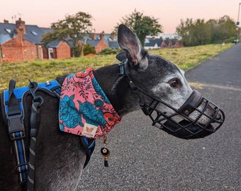 Dog bandana, dog accessory, dog neckerchief, dog bandanna, gift for dog lover, Hawaiian print, reversible dog bandana.