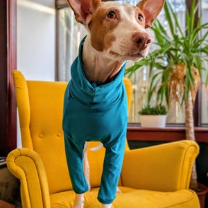 Bracken & Paws、犬用パジャマ、グレイハウンド パジャマ、グレイハウンド T シャツ、サイトハウンド パジャマ、グレイハウンド パジャマ、無地犬用 T シャツ、ベーシック犬用パジャマ。