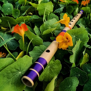 Indian Yoga Long Bansuri E-Natural Base 432Hz & 30 Inches, Classical Musical Instruments Woodwind For Gift, Mix colour combination