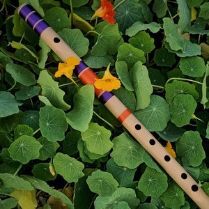 Professional Bamboo Bansuri Flute: G Natural Base, 26.5 inch