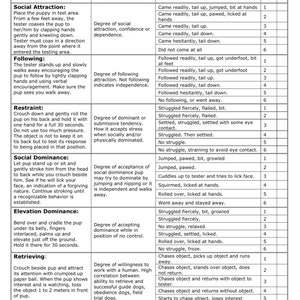 May include: A black and white chart with a table listing different tests for puppies, including social attraction, following, restraint, social dominance, elevation dominance, and retrieving. Each test has a description, purpose, score, and number.