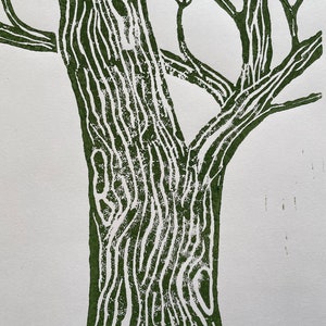 Könnte beinhalten: Ein grüner Linolschnitt eines Baumstamms und Ästen. Der Druck ist auf weißem Papier.