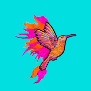 May include: A hummingbird patch featuring vibrant orange and hot pink feathers extending from the tail and wings. The bird body is embroidered with yellow, orange, and purple threads, accented with small blue sequins along the wing and chest.