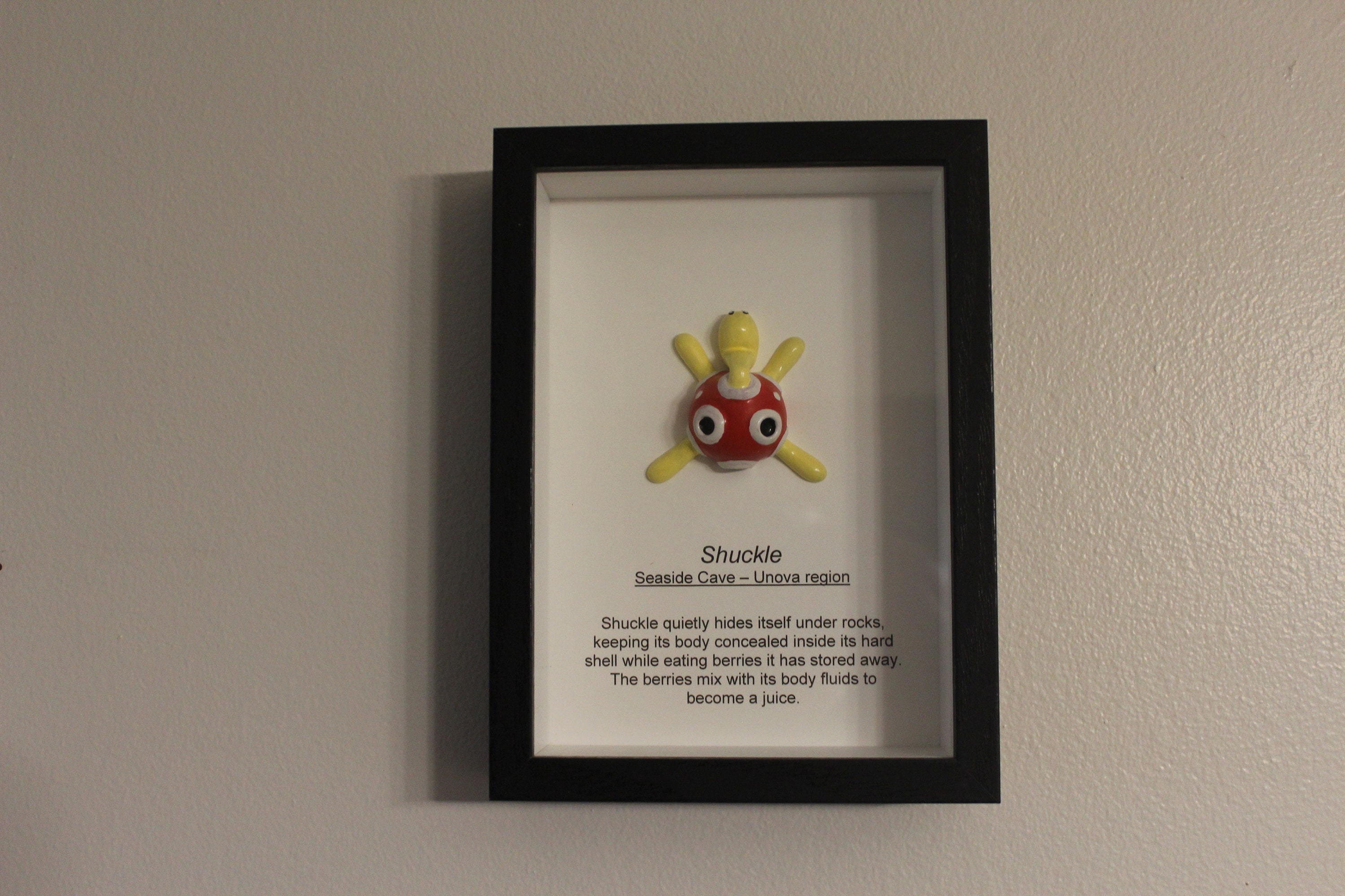 Shuckle Taxidermy Museum Style Display - Etsy Australia