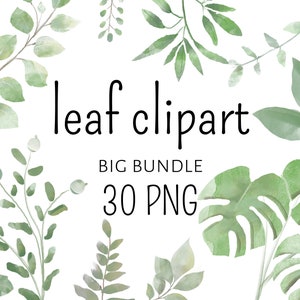 leaves clipart bundle, leaf png, watercolor png, leaf png, greenery frames, greenery, watercolor clipart, botanical clipart, COMMERCIAL USE