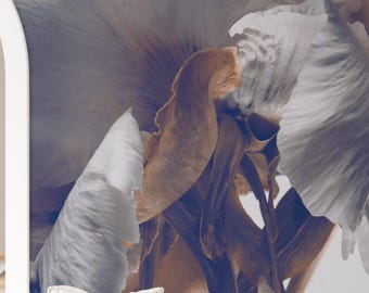 White Peony Floral Wallpaper, Close-up Flower Peel and Stick Wall Mural
