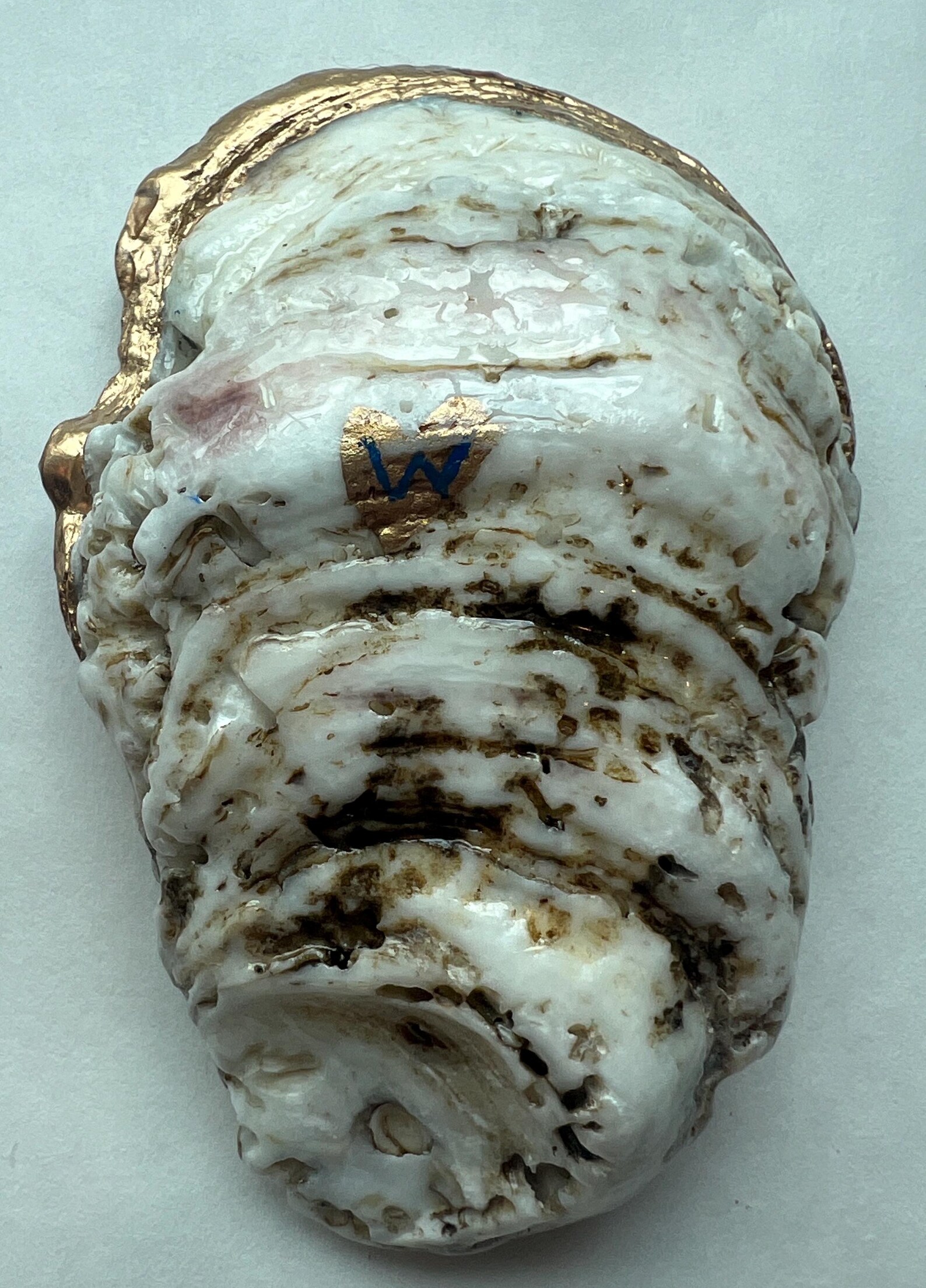 Unique Oyster Shell Earth View Jewelry Ring Dish Coastal Earth Decor ...