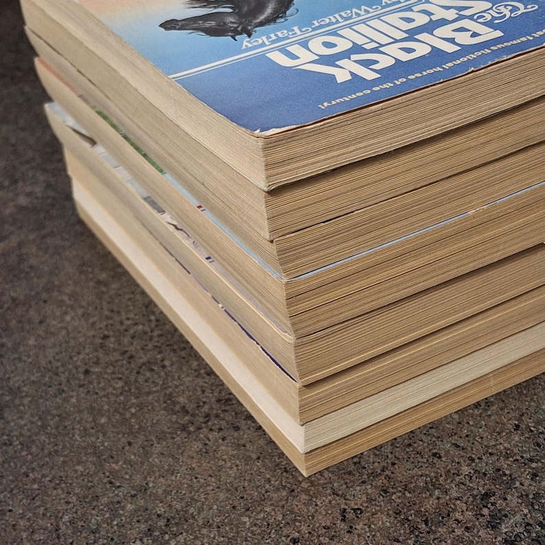 May include: A stack of vintage paperback books, with the top book featuring a blue cover with the title "The Black Stallion" and an illustration of a black horse. The books have aged, yellowed pages.