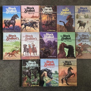 The Black Stallion Walter Farley Set Of Thirteen Taschenbücher 50er 60er 70er 80er Jahre