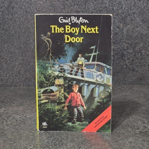 The Boy Next Door Enid Blyton Vintage 1991 Armada UK Paperback
