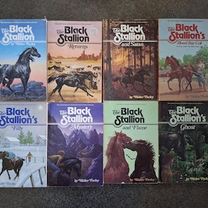 May include: A collection of eight vintage "Black Stallion" novels by Walter Farley. The book covers feature illustrations of horses in various scenes, with titles like "Returns," "Mystery," and "Ghost." The books are arranged on a neutral surface.