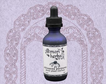 Full-Plant Echinacea Tincture, Echinacea purpurea, Root, flower, leaves, Simple, Organic, 2oz, Amori Herbal
