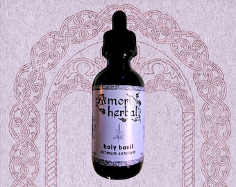 HOLY BASIL TINCTURE, Ocimum sanctum, Temperate Tulsi, Fresh Plant, Simple, Organic, 2oz