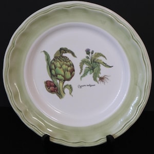 May include: A white ceramic plate with a scalloped green rim. The plate features botanical illustrations of an artichoke and a thistle, with the text "Cynara scolymus". The plate is displayed on a black stand.