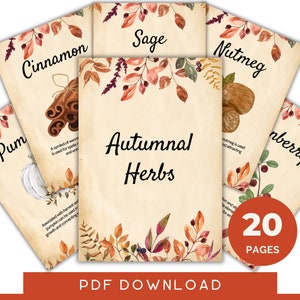 Enchanting Autumn Herb Set: 19 Magical Herbs for Your Fall Rituals & Spells - Samhain Protection Divination Mabon - Instant Download