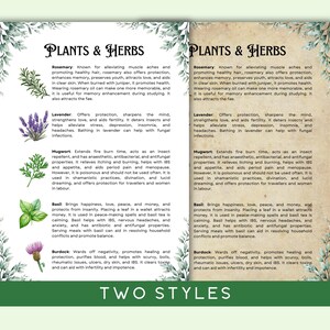 May include: Two pages of a guide to plants and herbs with watercolor illustrations. The guide lists the benefits of rosemary, lavender, mugwort, basil, and burdock.