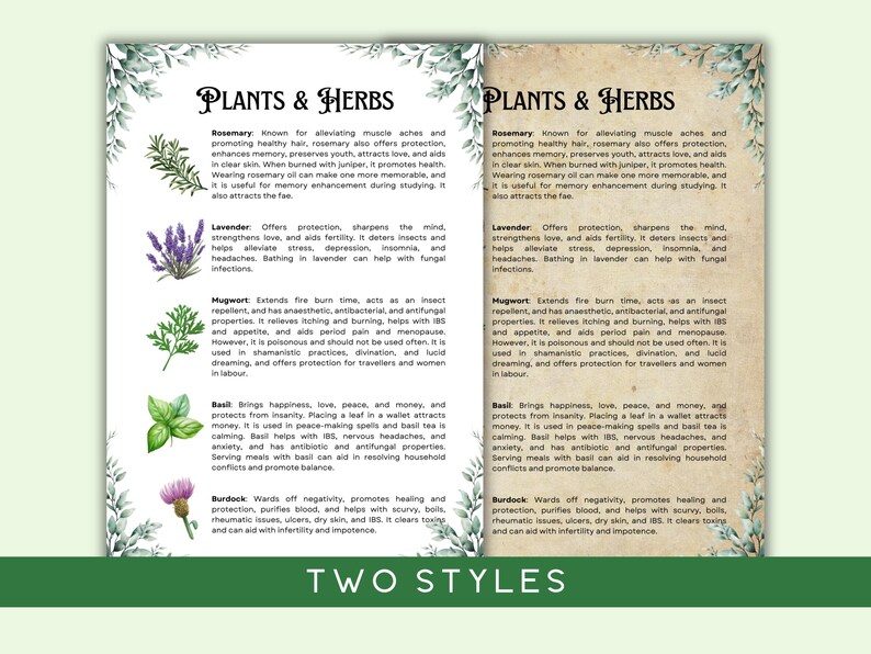 May include: Two pages of a guide to plants and herbs with watercolor illustrations. The guide lists the benefits of rosemary, lavender, mugwort, basil, and burdock.