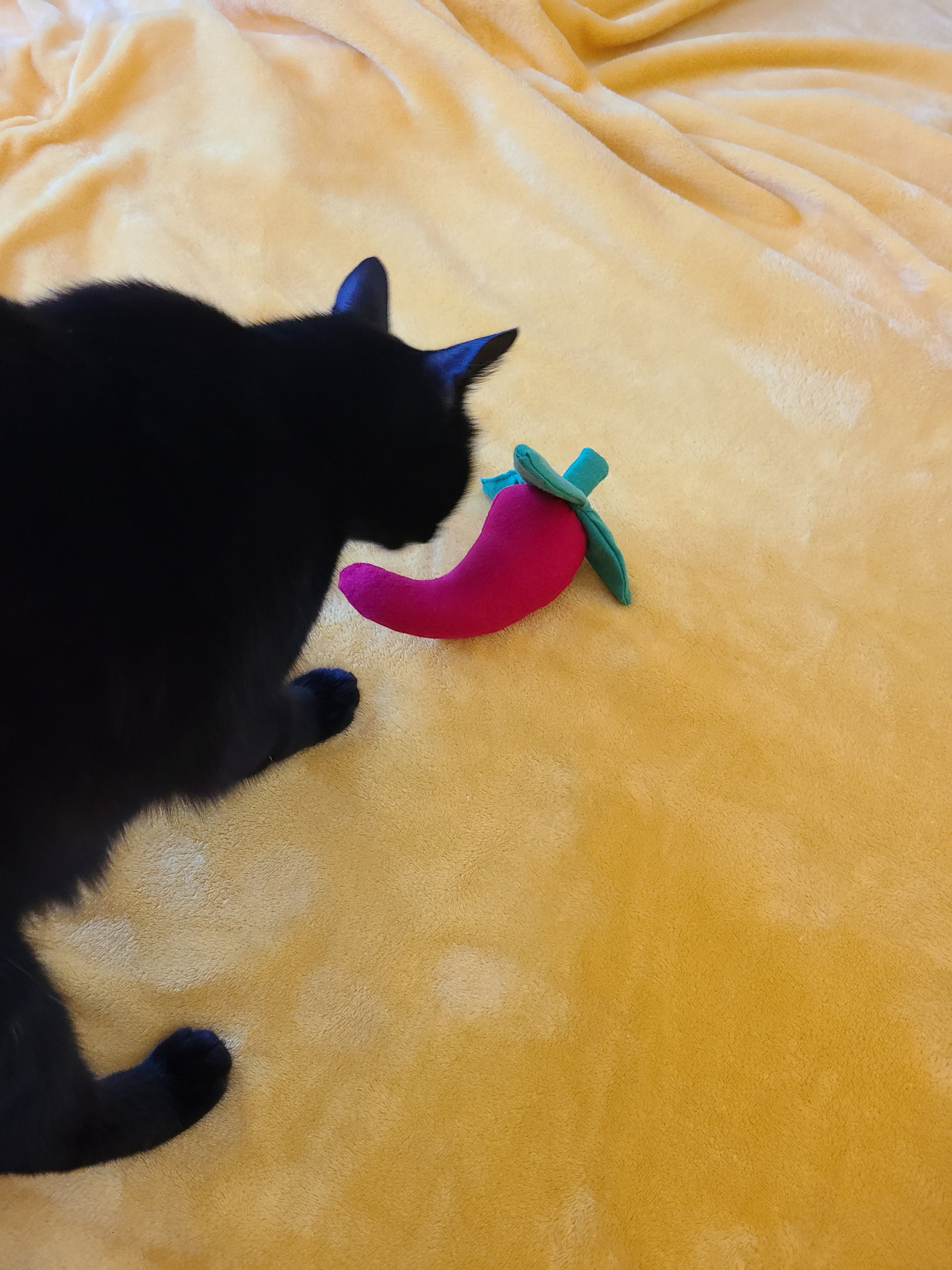 Chile Pepper Cat Toy With Crinkle, Cat Nip and a Bell Etsy