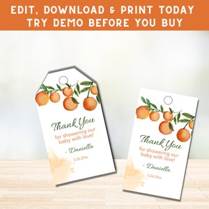 Oranges Favor Tags - Little Cutie Baby Shower Thank You Tags - Party Favor Tags - Clementine Theme - Citrus Shower Favor Tags - PEORAN