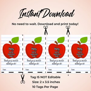 Teacher Appreciation Apple Tag, Teachers Week Gift, Appreciation Gift, To The Core Tag, Printable Tags TEACH image 2