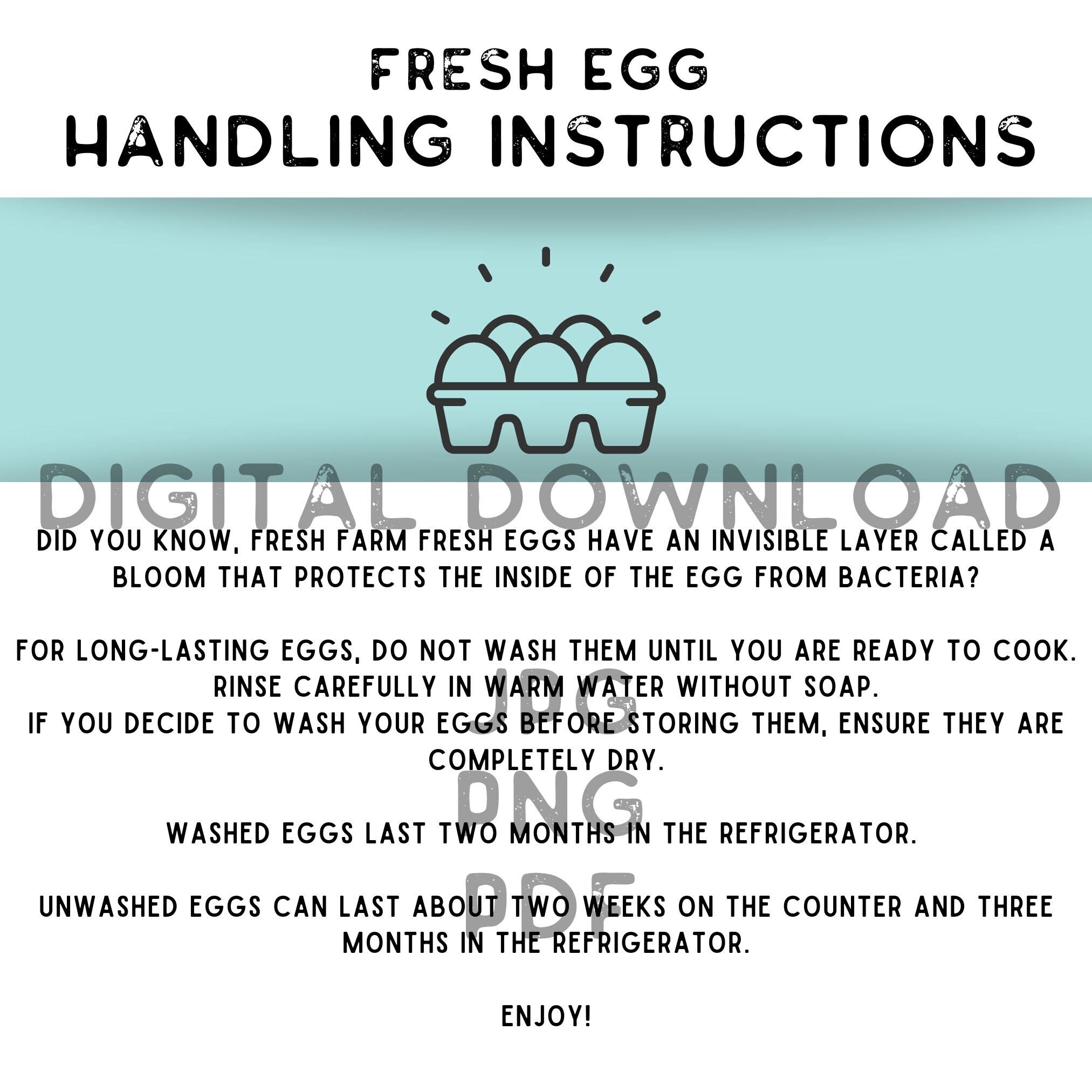 Egg Handling Instructions Digital Download - Etsy