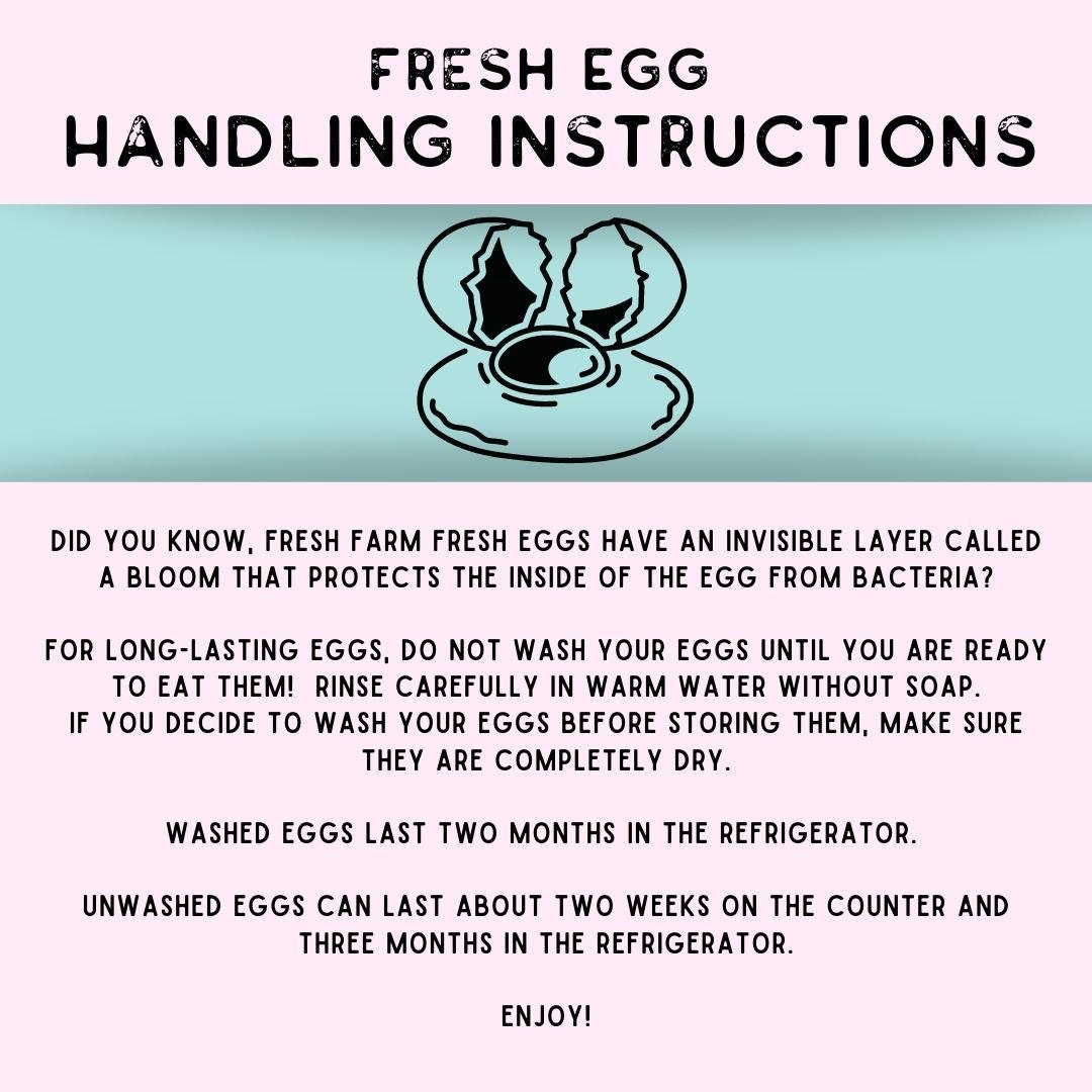 egg-handling-instructions-download-now-etsy