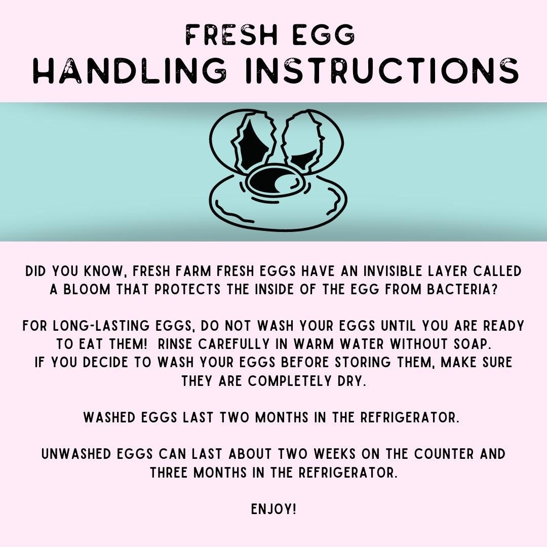 Egg Handling Instructions Etsy