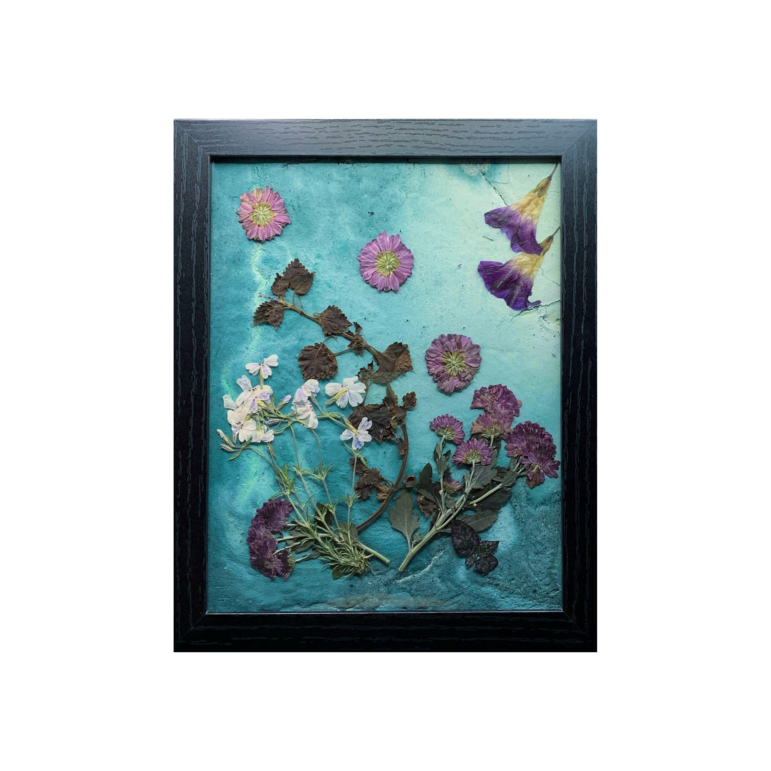 Pressed Dried Flower Painting - Blue Hydrangeas Morning Glory