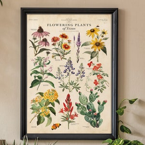 Texas planten print, botanische kaart poster, flora plantsoorten print, Texas staat print, plantenkaart print