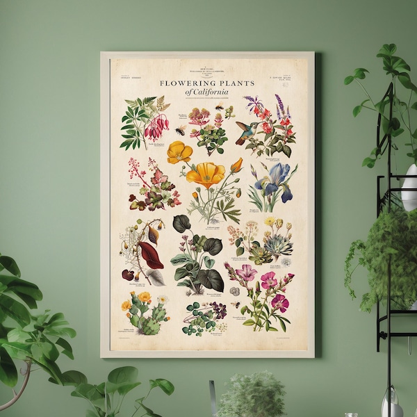 California Plants Print, Botanic Chart Poster, Flora Plant Types Print, California State Print, Plant Chart Print
