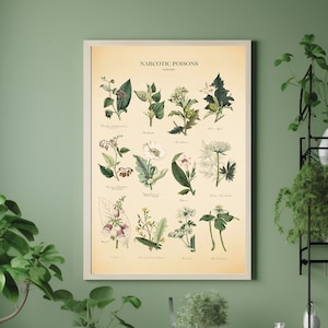 Giftige planten print, hallucinogene grafiek poster, giftige plantensoorten print, dodelijke planten print, verdovende gifstoffen poster, botanische print