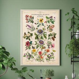 Impresión de plantas de Florida, póster de gráfico botánico, impresión de tipos de plantas de flora, impresión del estado de Florida