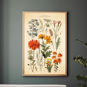 Vintage Wildflowers Print, Keuken Botanische Print, Flower Chart Poster, Rustiek Decor, Plant Chart Print