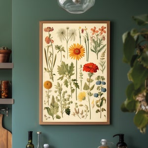 Impresión de flores silvestres vintage, impresión botánica de cocina, cartel de gráfico de flores, decoración rústica, impresión de gráfico de plantas